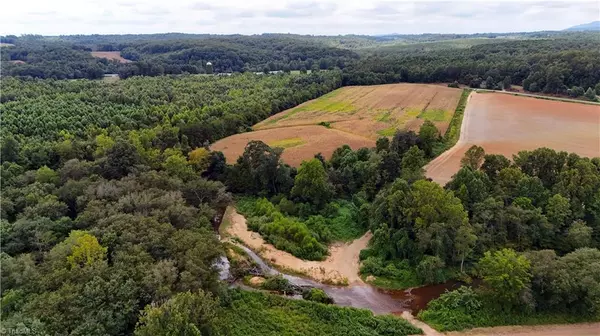 Dobson, NC 27017,19.313 +/- acres Fisher Valley RD