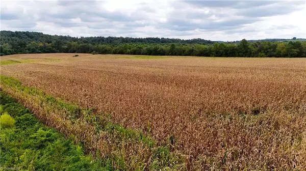 Dobson, NC 27017,19.313 +/- acres Fisher Valley RD