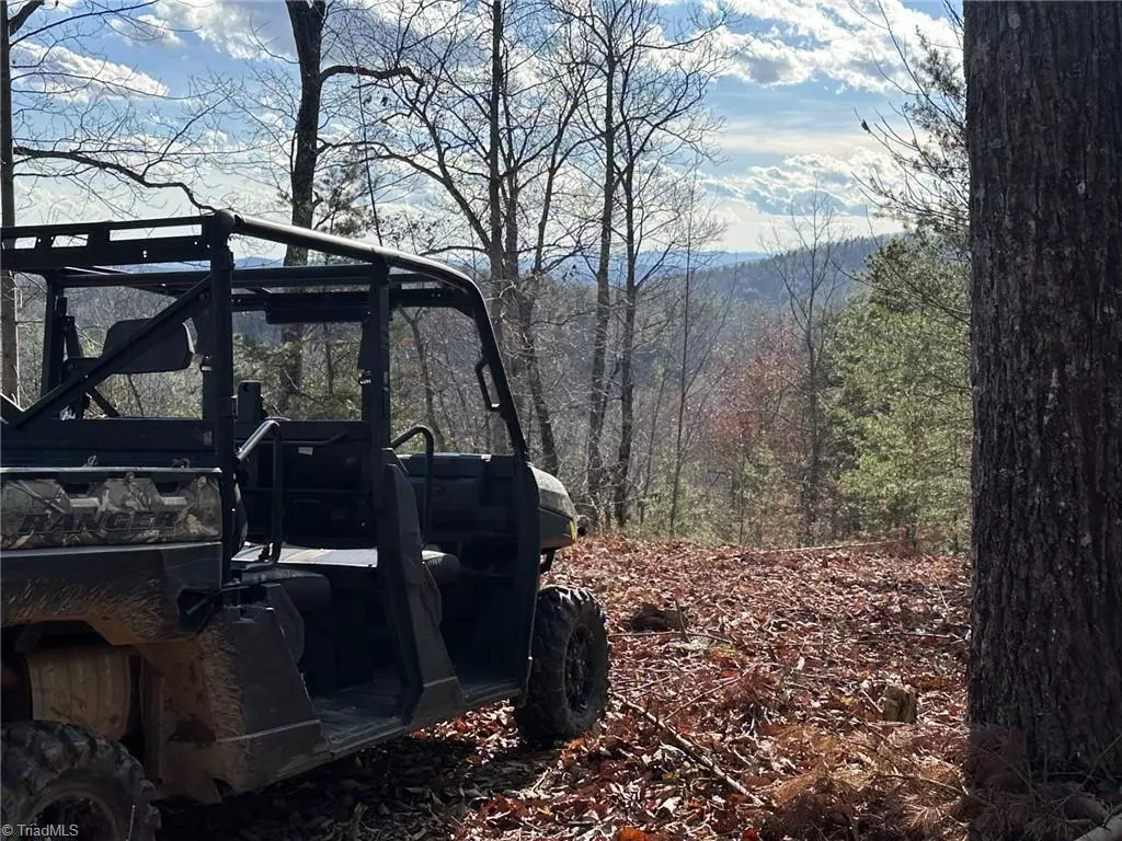 Lenoir, NC 28645,TBD1 Scout RD