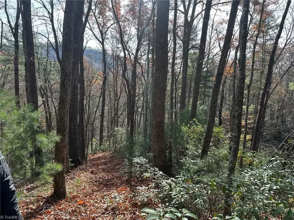 Lenoir, NC 28645,TBD1 Scout RD