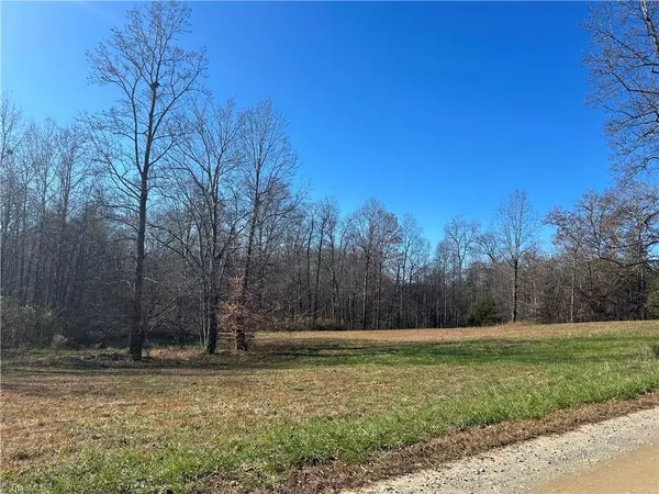 0 Buckskin TRL, Boonville, NC 27011
