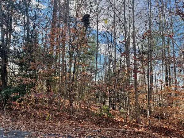 Lot 4 Longview DR, Wilkesboro, NC 28697
