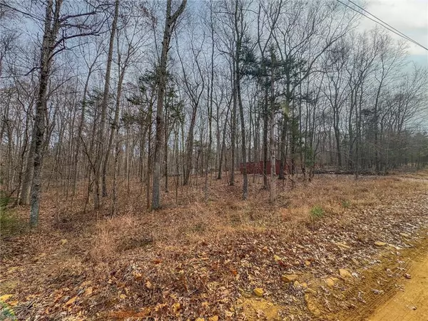 Snow Camp, NC 27349,6124 Wild Horse Canyon RD