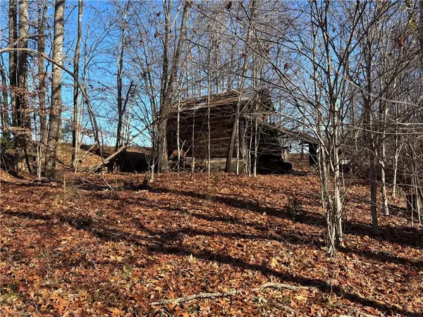 Danbury, NC 27016,0 Pleasant View Church RD