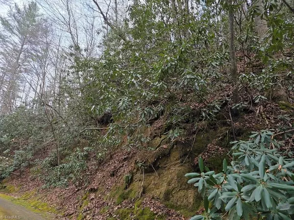 Ferguson, NC 28624,Lot 106 Holleridge RD