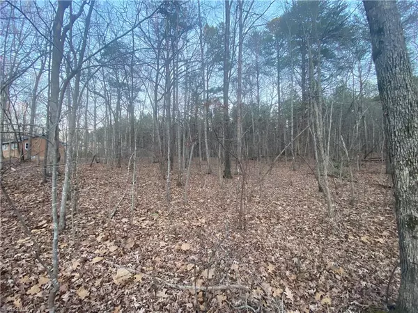 Julian, NC 27283,4707 Jaylee PL