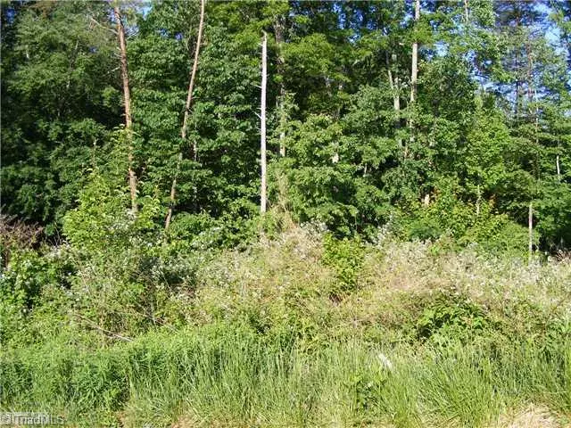 King, NC 27021,16 +/- ac Chestnut Grove RD