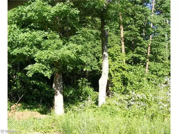 King, NC 27021,16 +/- ac Chestnut Grove RD