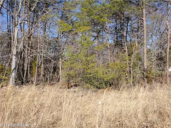 Stoneville, NC 27048,1.7 AC Settlement LOOP