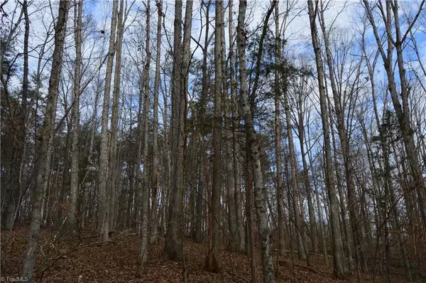 Stoneville, NC 27048,N/A Brookwood DR