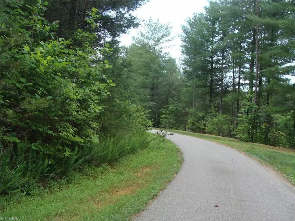 Roaring River, NC 28669,Lot 1 Annie Sophia LN