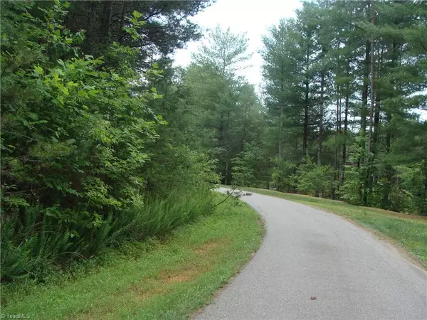 Lot 1 Annie Sophia LN, Roaring River, NC 28669