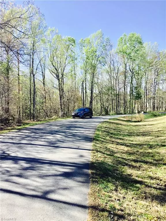 Tobaccoville, NC 27050,140 Norwood Forest LN