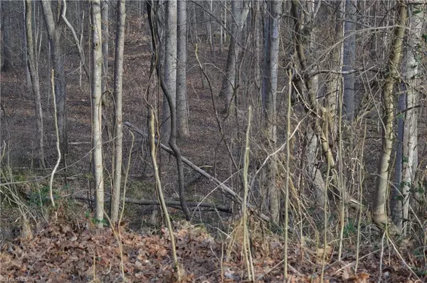 Madison, NC 27025,00 Longview RD