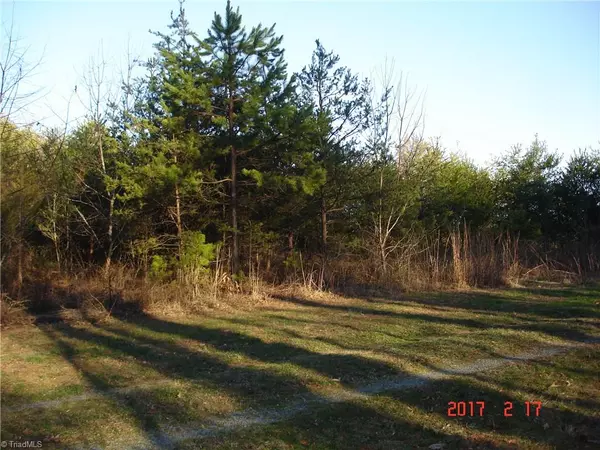 Tobaccoville, NC 27050,00 Spainhour Mill RD
