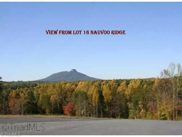 Tobaccoville, NC 27050,16 Nauvoo Ridge DR