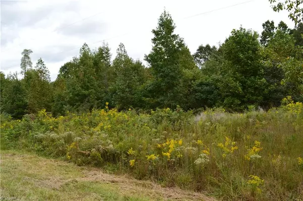 Stoneville, NC 27048,00 Snead RD