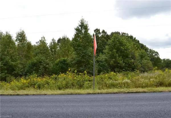 Stoneville, NC 27048,00 Snead RD