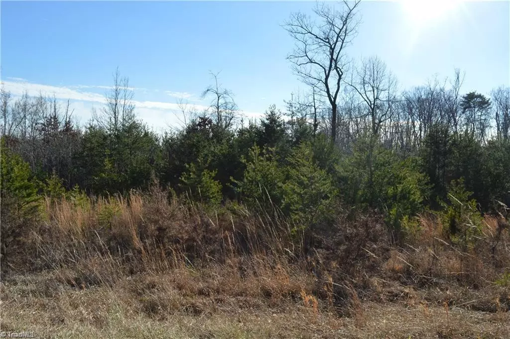 Eden, NC 27288,00 Lot A NC Highway 700