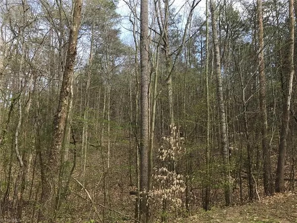 0 Lori LN, Yadkinville, NC 27055