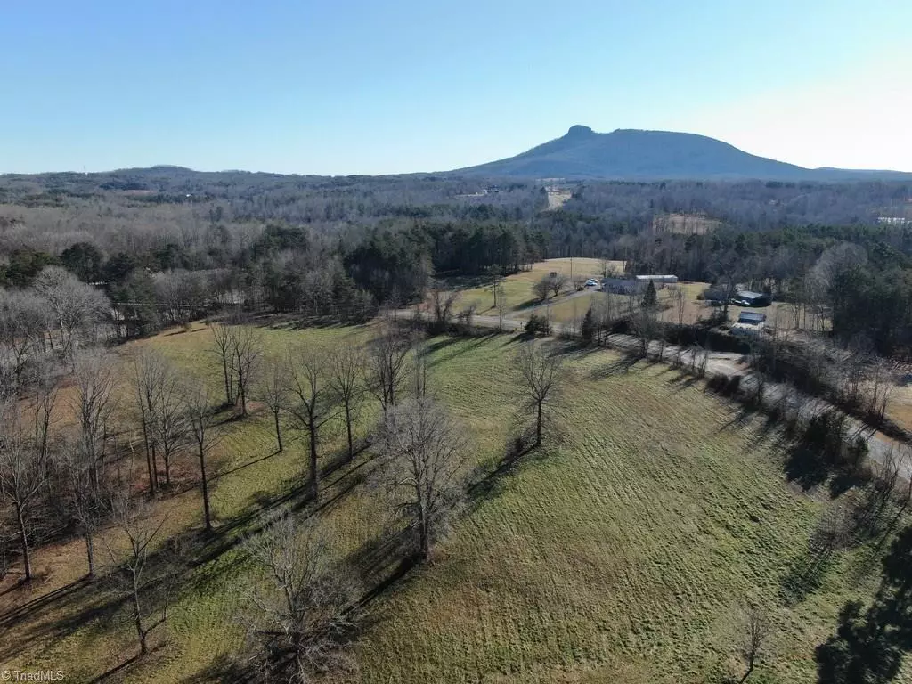 Pilot Mountain, NC 27041,10ac Dodson Mill RD #10ac