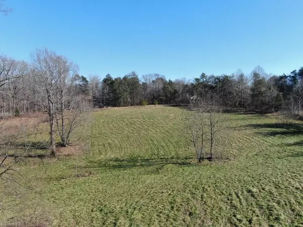 Pilot Mountain, NC 27041,10ac Dodson Mill RD #10ac