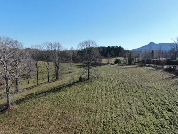 Pilot Mountain, NC 27041,10ac Dodson Mill RD #10ac