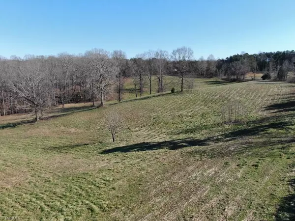 Pilot Mountain, NC 27041,10ac Dodson Mill RD #10ac