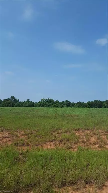 Gibsonville, NC 27249,6008 Grass Field CT