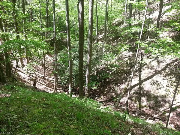 Stuart, VA 24171,0 Dobyns Road