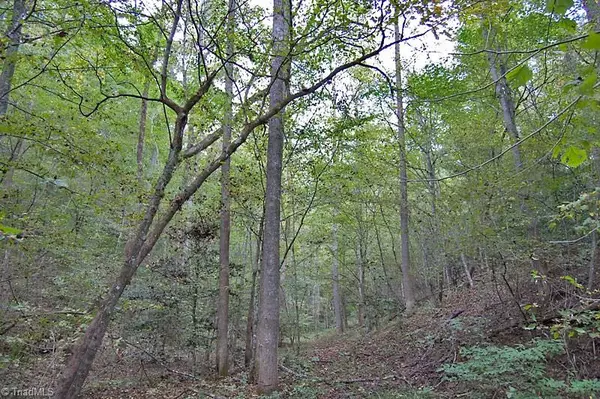 Hays, NC 28635,1403 Dehart Community Ctr RD