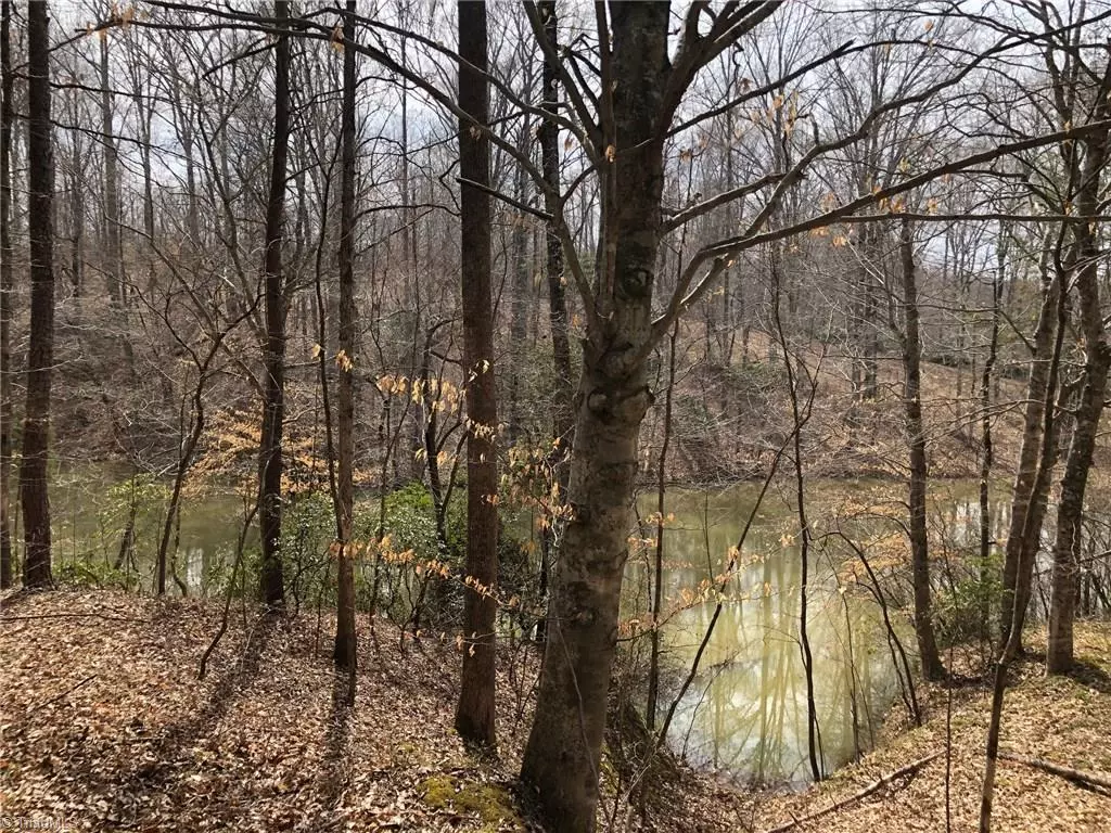 Madison, NC 27025,0 NC HIGHWAY 704