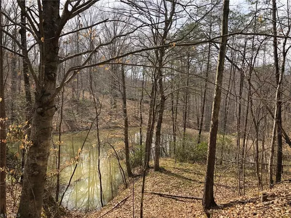 Madison, NC 27025,0 NC HIGHWAY 704