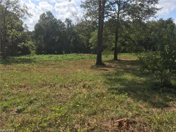 Stoneville, NC 27048,0 Hogan DR