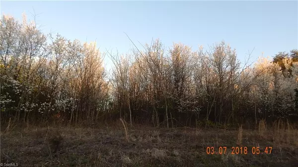 0 Fosstoral ST, King, NC 27021