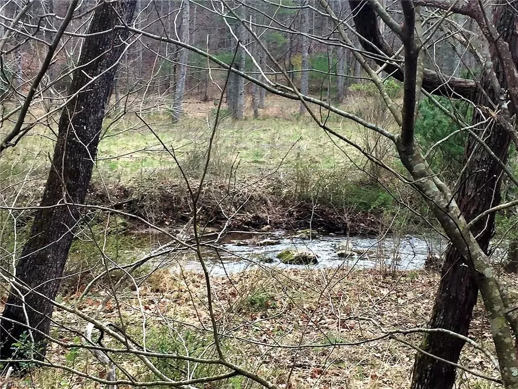 Millers Creek, NC 28651,TBD Vannoy RD