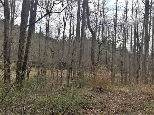 Millers Creek, NC 28651,TBD Vannoy RD