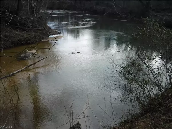 Pilot Mountain, NC 27041,400 Warthog LN