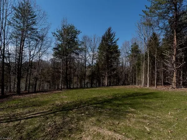 Mebane, NC 27302,Lot 3 ALLEN JARRETT DR #ALLEN JARRETT DR