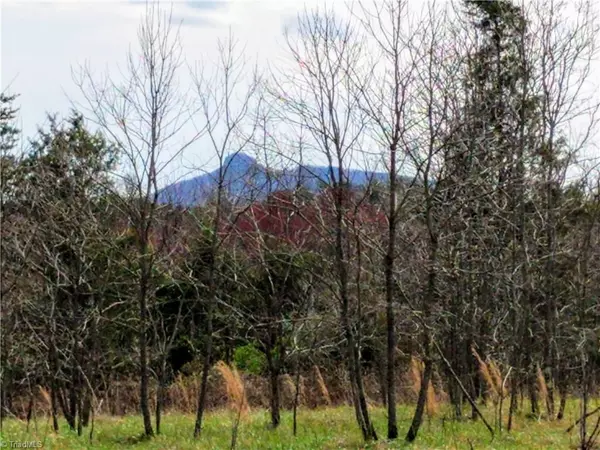 Pilot Mountain, NC 27041,0 Hunter RD