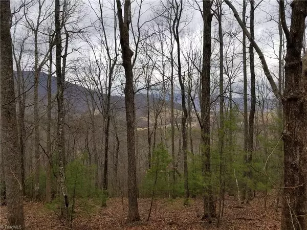 Jefferson, NC 28640,3.00 acres Bare Knob RD