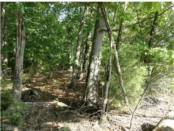 Walnut Cove, NC 27052,1109 Yates RD