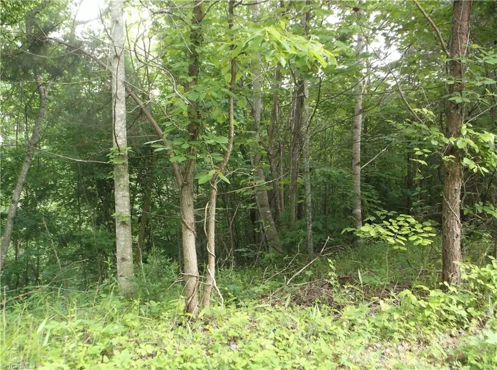 Pinnacle, NC 27043,Lot 5 Thore RD