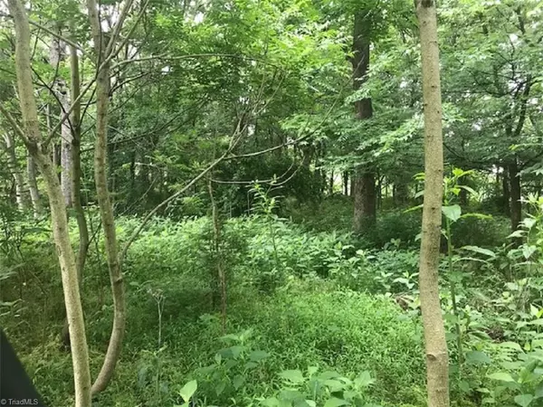 Mebane, NC 27302,Lot 5 Mebane Oaks RD