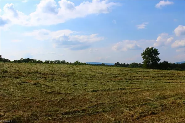 King, NC 27021,xx 10ac+- Slate RD