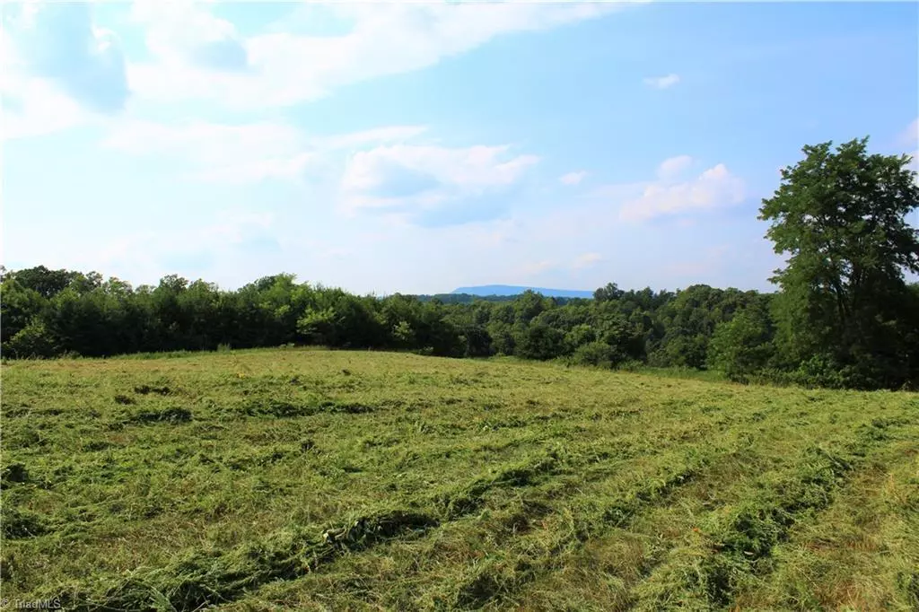 King, NC 27021,xx 10ac+- Slate RD