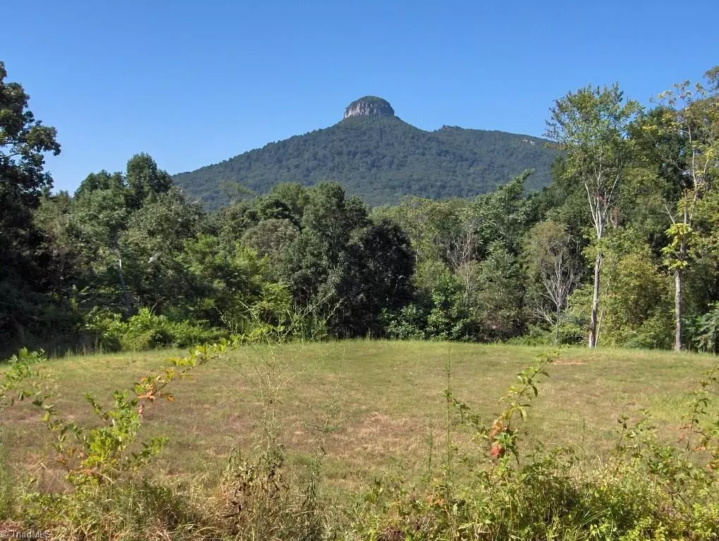 Pilot Mountain, NC 27041,10 Black Point LN