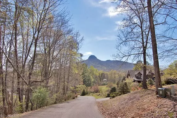 Pilot Mountain, NC 27041,10 Black Point LN