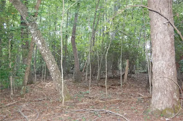 Hamptonville, NC 27020,0 US Highway 21