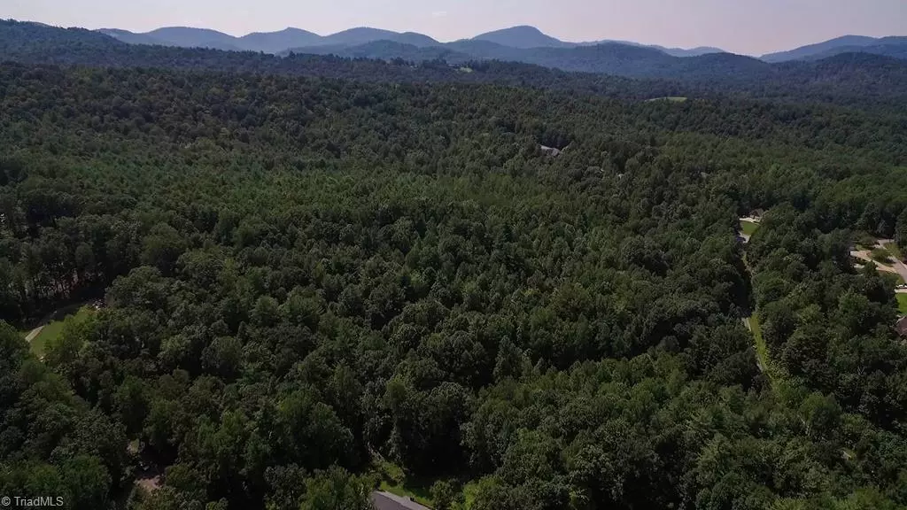 Wilkesboro, NC 28697,0000 Old Farms RD